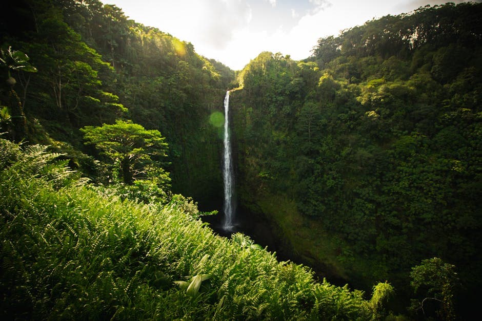 Akaka Falls State Park