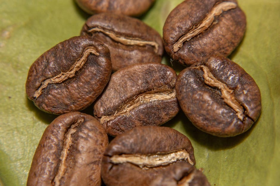 The Coffee Shack