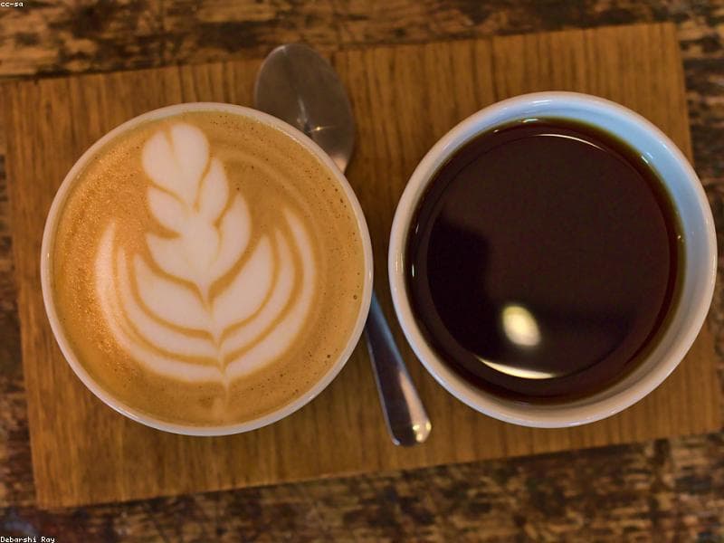 Daylight Mind Coffee Company