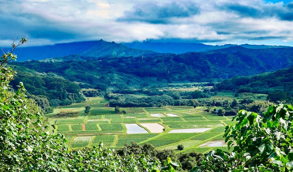 Koloa Heritage Trail