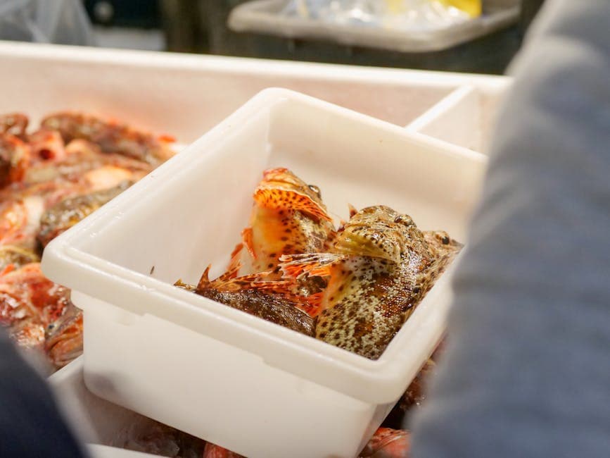 Koloa Fish Market