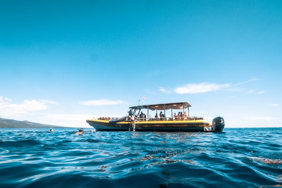 Molokini Crater (drive to Ma'alaea Harbor)