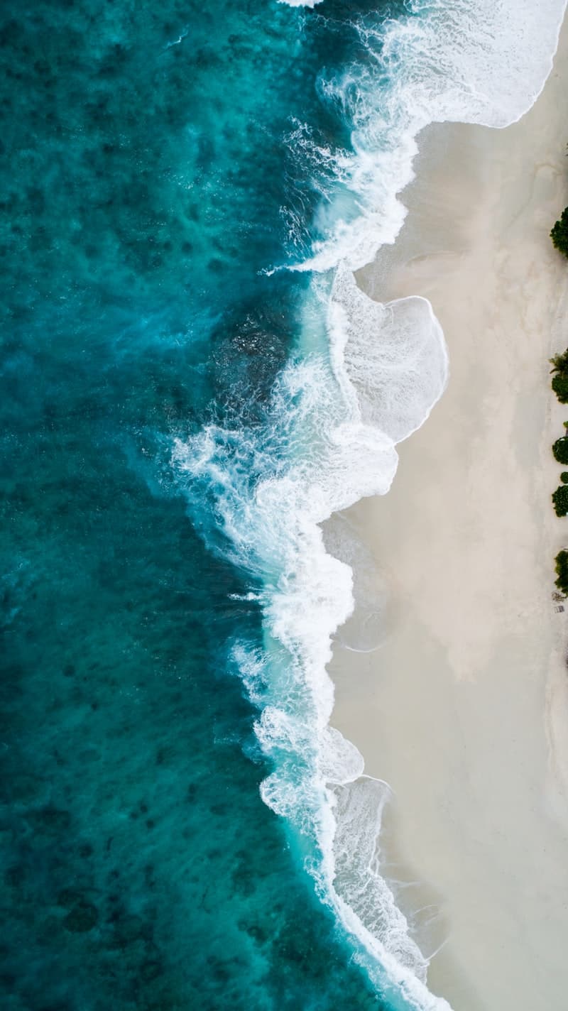 Waimea Bay Beach Park