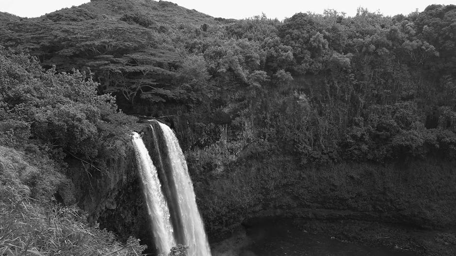 Honolulu Zoo & Kapiolani Park