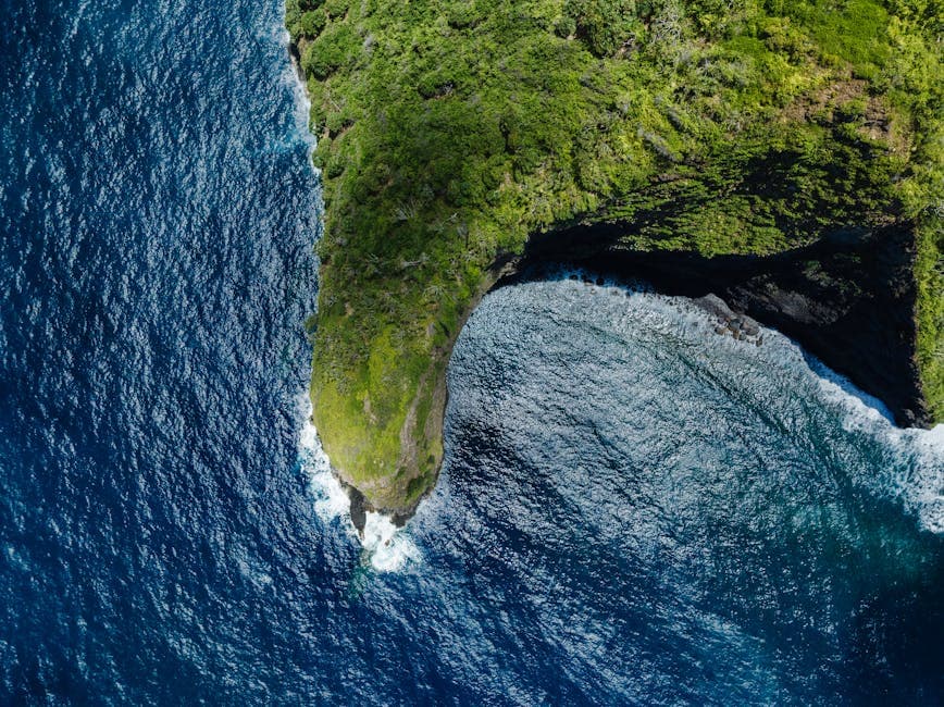 Island Lava Java