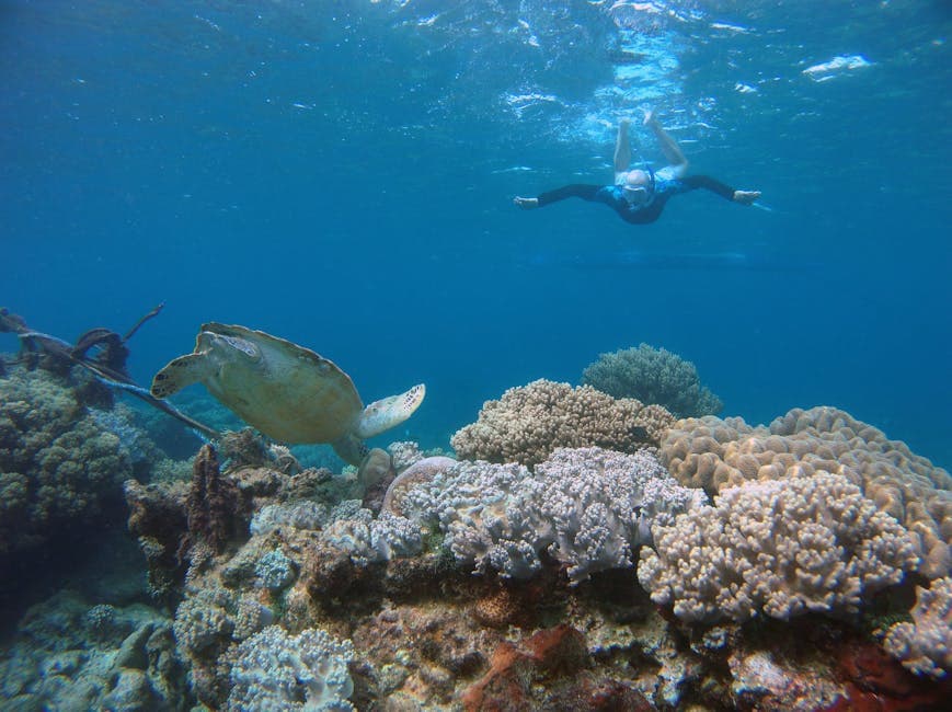 Kahaluu Beach Park