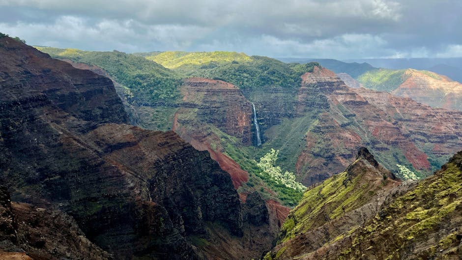 Kona Coffee Country Drive