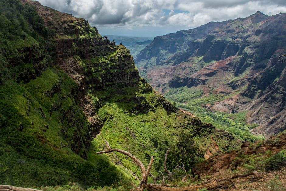 Maha'ulepu Heritage Trail