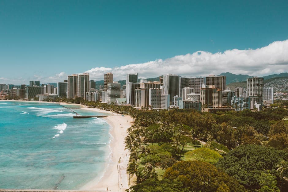 North Shore Shrimp Trucks & Shave Ice