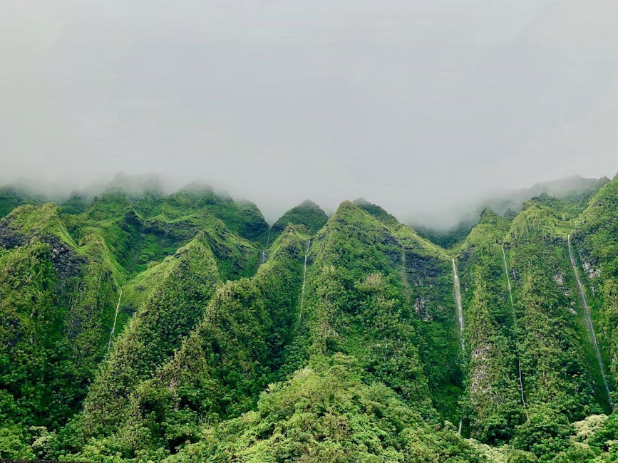 South Point (Ka Lae)
