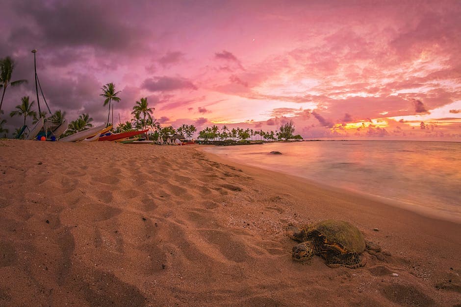 Wailea Beach Path