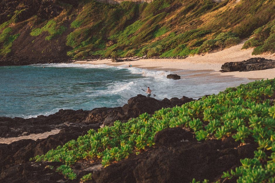 Wailea Beach Path