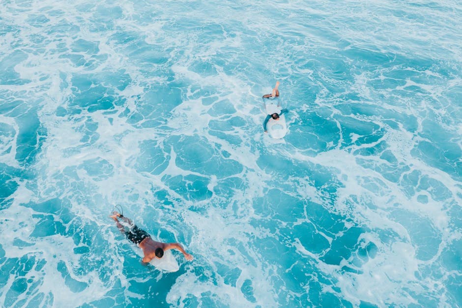 Waimea Bay Beach Park