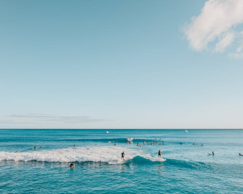Waimea Bay Beach Park