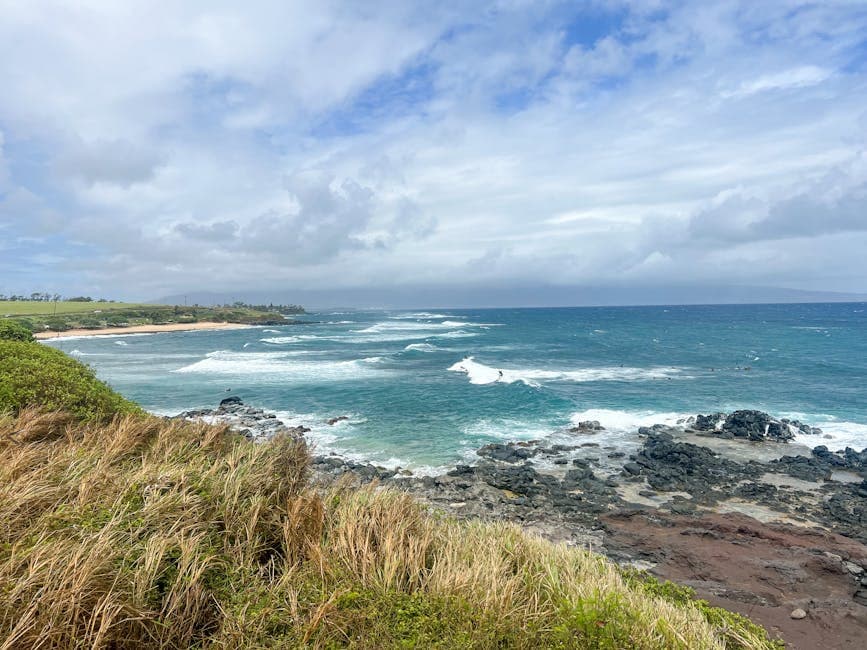 Waimea Brewing Company