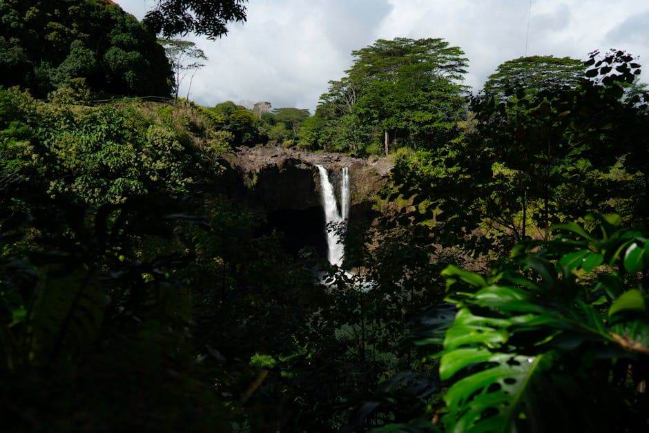 Waimea Valley & Waimea Falls